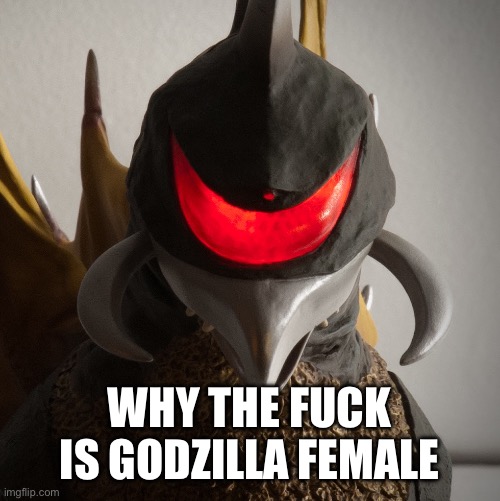 gigan staring | WHY THE FUCK IS GODZILLA FEMALE | image tagged in gigan staring | made w/ Imgflip meme maker