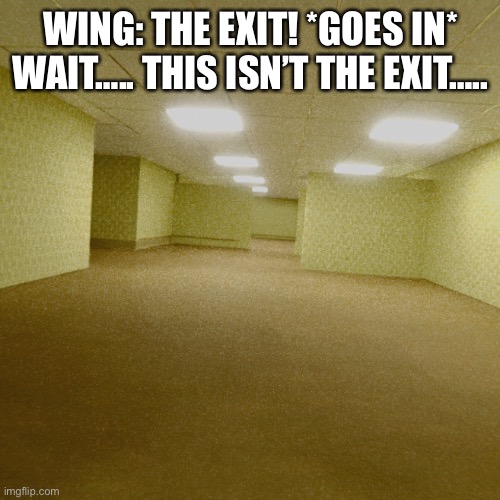 Wing in the Slimy Backrooms | WING: THE EXIT! *GOES IN* WAIT….. THIS ISN’T THE EXIT….. | image tagged in backrooms | made w/ Imgflip meme maker