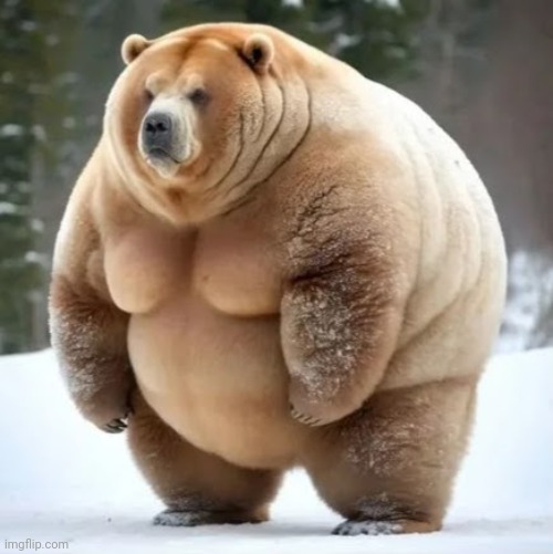 Just a big fat Bear | image tagged in smokey the bear,well yes but actually no,fat | made w/ Imgflip meme maker