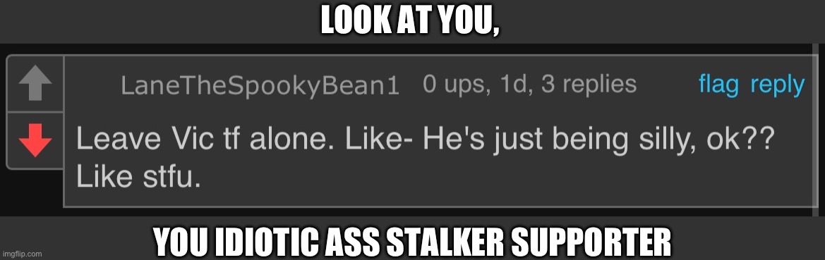 Is this idiot srs? | LOOK AT YOU, YOU IDIOTIC ASS STALKER SUPPORTER | made w/ Imgflip meme maker