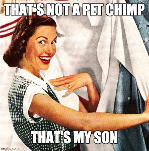 Vintage Laundry Woman | THAT'S NOT A PET CHIMP; THAT'S MY SON | image tagged in memes,woman,chimp,pets | made w/ Imgflip meme maker