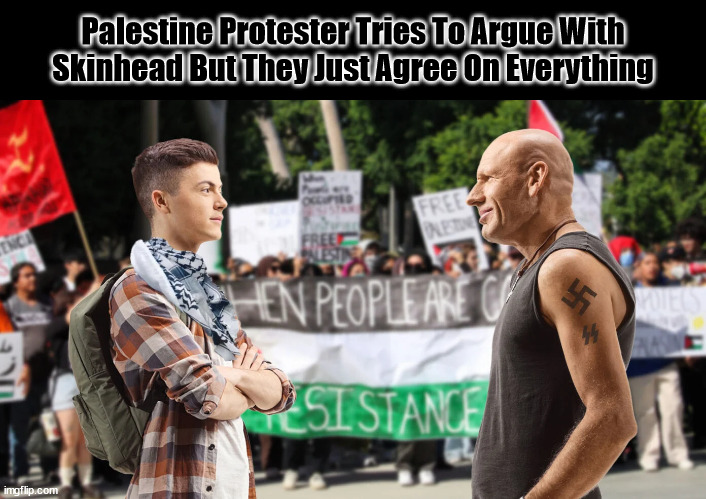 Allies | Palestine Protester Tries To Argue With Skinhead But They Just Agree On Everything | image tagged in palestine | made w/ Imgflip meme maker