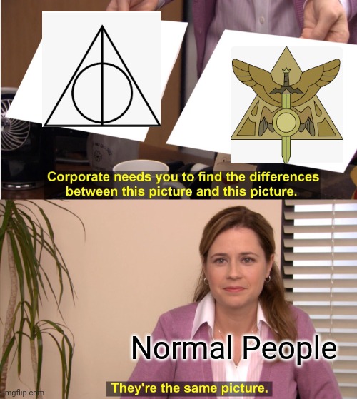They're The Same Picture | Normal People | image tagged in memes,they're the same picture,the owl house,harry potter | made w/ Imgflip meme maker