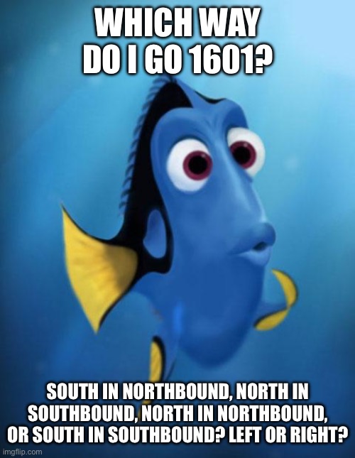 Dory | WHICH WAY DO I GO 1601? SOUTH IN NORTHBOUND, NORTH IN SOUTHBOUND, NORTH IN NORTHBOUND, OR SOUTH IN SOUTHBOUND? LEFT OR RIGHT? | image tagged in dory | made w/ Imgflip meme maker
