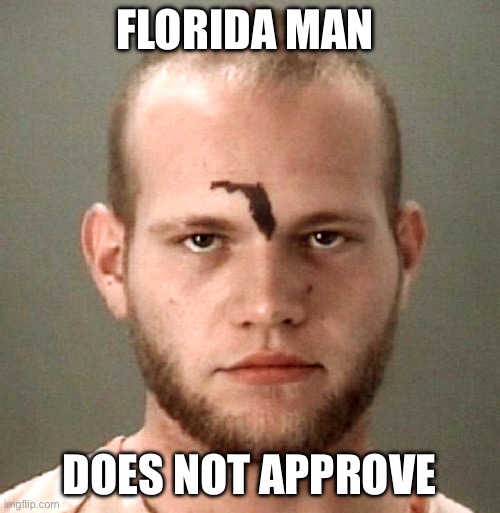 Florida Man | FLORIDA MAN DOES NOT APPROVE | image tagged in florida man | made w/ Imgflip meme maker