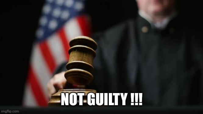 Gavel Judge Flag | NOT GUILTY !!! | image tagged in gavel judge flag | made w/ Imgflip meme maker