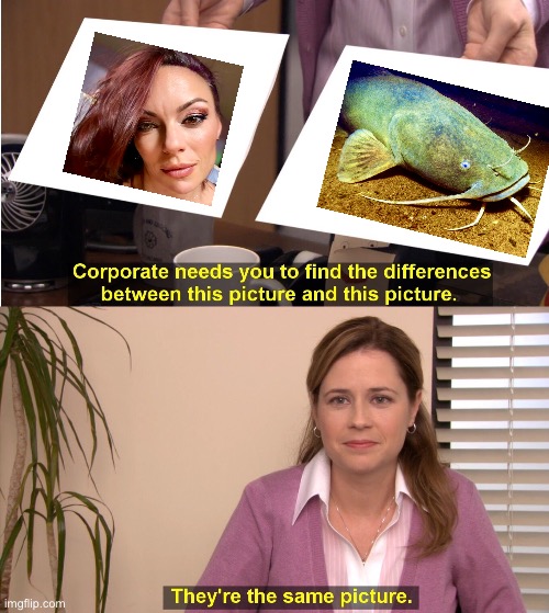 Is it the whiskers? | image tagged in memes,they're the same picture,catfish,the office,obvious | made w/ Imgflip meme maker