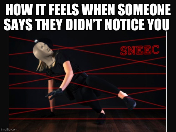 I am Sneec | HOW IT FEELS WHEN SOMEONE SAYS THEY DIDN’T NOTICE YOU | image tagged in sneak 100,memes,sneaky | made w/ Imgflip meme maker