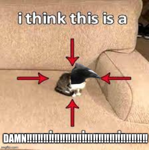 DAMN‼️‼️‼️‼️‼️‼️‼️‼️‼️‼️‼️‼️‼️‼️‼️‼️‼️‼️‼️‼️‼️‼️ | made w/ Imgflip meme maker