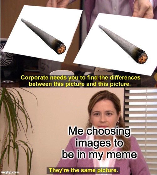 They're The Same Picture Meme | Me choosing images to be in my meme | image tagged in memes,they're the same picture | made w/ Imgflip meme maker