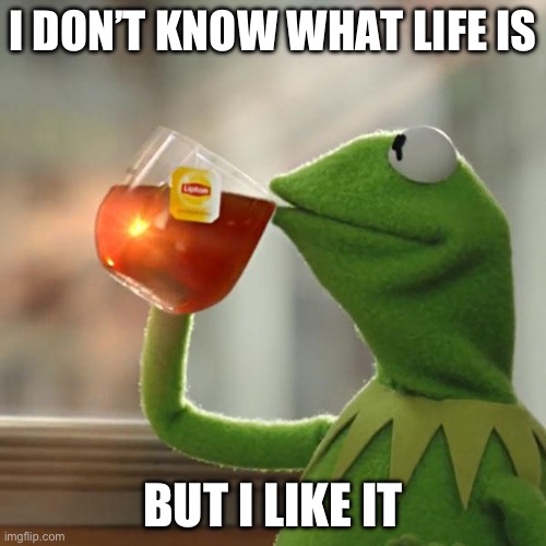 But That's None Of My Business Meme | I DON’T KNOW WHAT LIFE IS; BUT I LIKE IT | image tagged in memes,but that's none of my business,kermit the frog | made w/ Imgflip meme maker