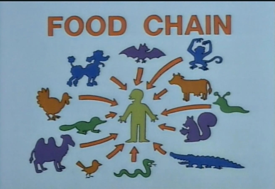 High Quality Food chain Blank Meme Template