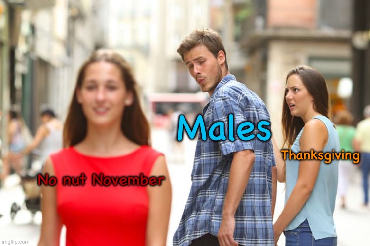 It’s kinda a dead holiday but I like the holiday cuz free food!? SAY LESS! | Males; Thanksgiving; No nut November | image tagged in memes,distracted boyfriend,no nut november,funny,fun,relatable | made w/ Imgflip meme maker