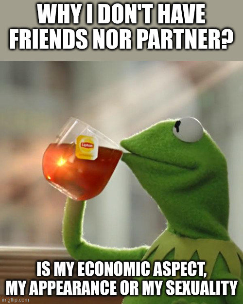 aspect | WHY I DON'T HAVE FRIENDS NOR PARTNER? IS MY ECONOMIC ASPECT, MY APPEARANCE OR MY SEXUALITY | image tagged in memes,but that's none of my business,kermit the frog | made w/ Imgflip meme maker
