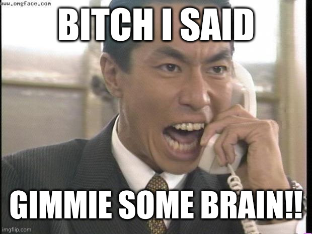 Yelling Asian Guy | BITCH I SAID GIMMIE SOME BRAIN!! | image tagged in yelling asian guy | made w/ Imgflip meme maker