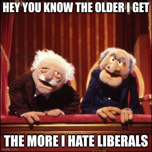 Waldorf and Statler | HEY YOU KNOW THE OLDER I GET; THE MORE I HATE LIBERALS | image tagged in waldorf and statler | made w/ Imgflip meme maker