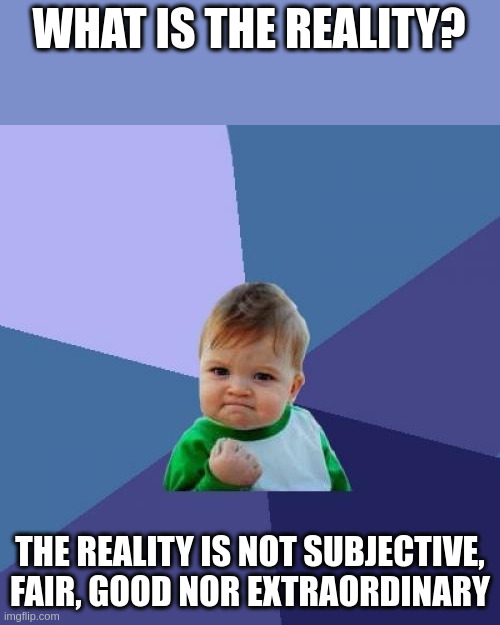 reality | WHAT IS THE REALITY? THE REALITY IS NOT SUBJECTIVE, FAIR, GOOD NOR EXTRAORDINARY | image tagged in memes,success kid | made w/ Imgflip meme maker