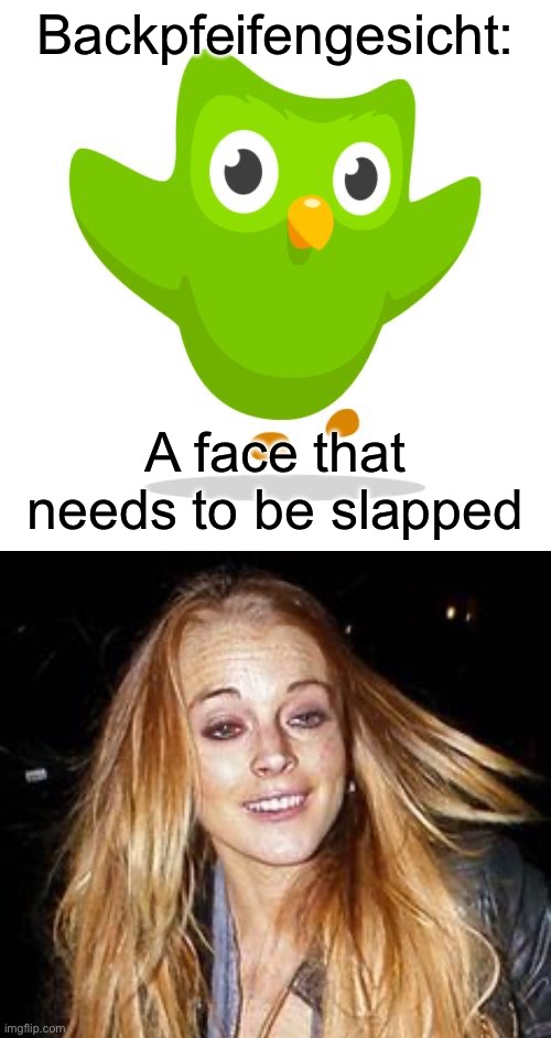 German lesson | Backpfeifengesicht:; A face that needs to be slapped | image tagged in things duolingo teaches you,drugged lindsay lohan,german,slap | made w/ Imgflip meme maker