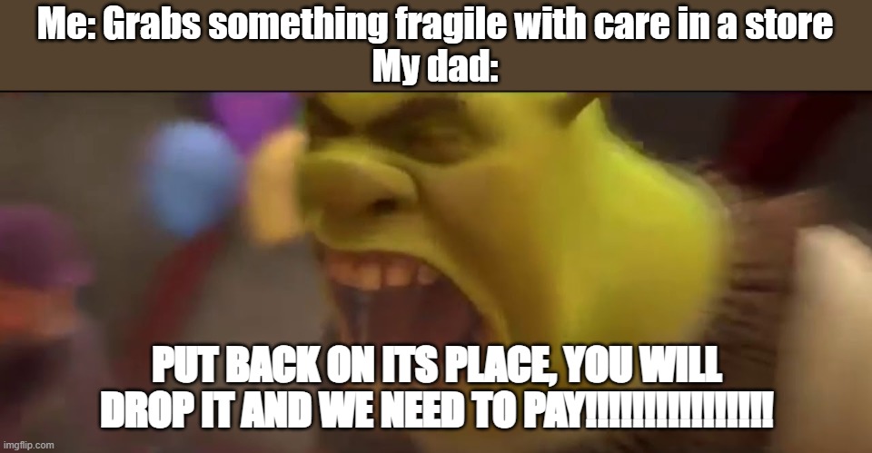 My Dad be like | Me: Grabs something fragile with care in a store
My dad:; PUT BACK ON ITS PLACE, YOU WILL DROP IT AND WE NEED TO PAY!!!!!!!!!!!!!!!! | image tagged in shrek screaming | made w/ Imgflip meme maker