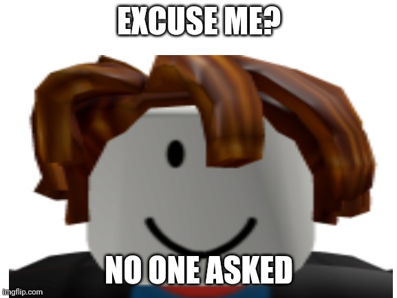 Blank White Template | EXCUSE ME? NO ONE ASKED | image tagged in blank white template | made w/ Imgflip meme maker