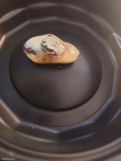 Fatass raisin | made w/ Imgflip meme maker