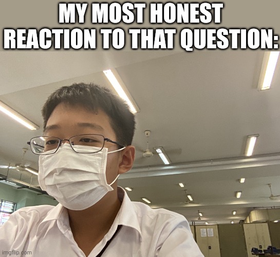 Meme | MY MOST HONEST REACTION TO THAT QUESTION: | image tagged in did i ask | made w/ Imgflip meme maker