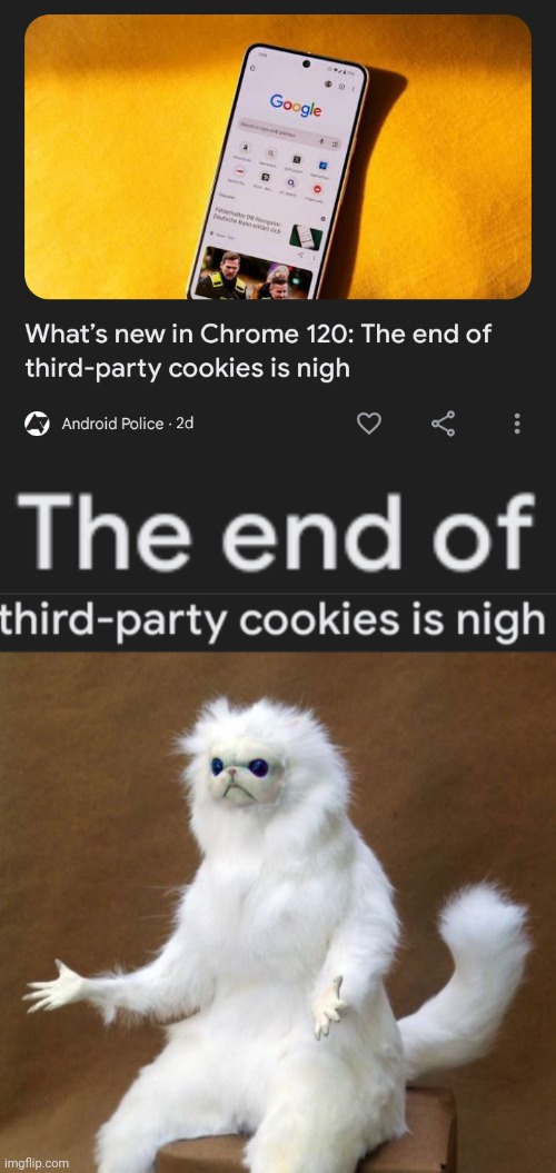 Why is Google killing third-party cookies? | image tagged in persian white monkey,cookies,google,y tho,but why tho,memes | made w/ Imgflip meme maker