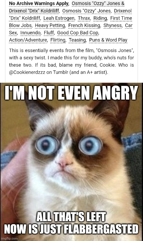 I'M NOT EVEN ANGRY; ALL THAT'S LEFT NOW IS JUST FLABBERGASTED | image tagged in grumpy cat shocked | made w/ Imgflip meme maker