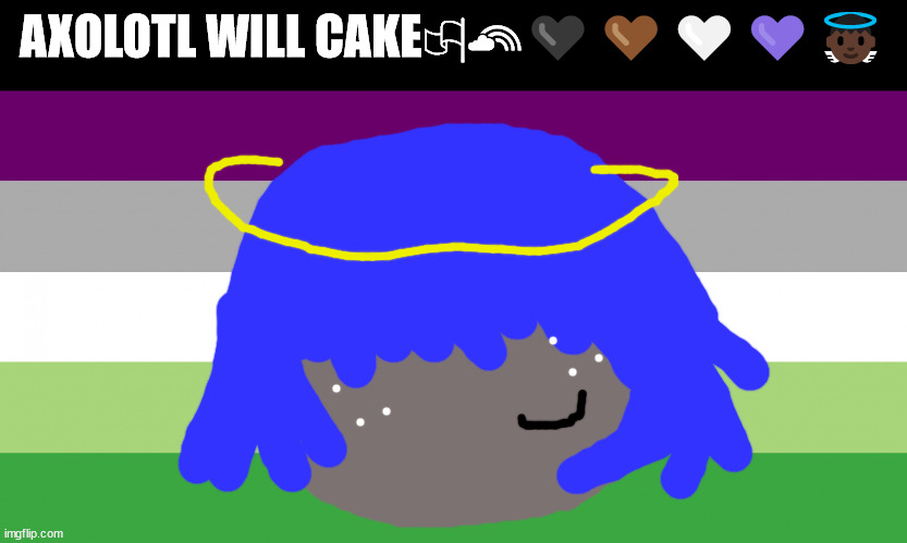 aroace flag | AXOLOTL WILL CAKE🏳‍🌈🖤🤎🤍💜👼🏿 | made w/ Imgflip meme maker