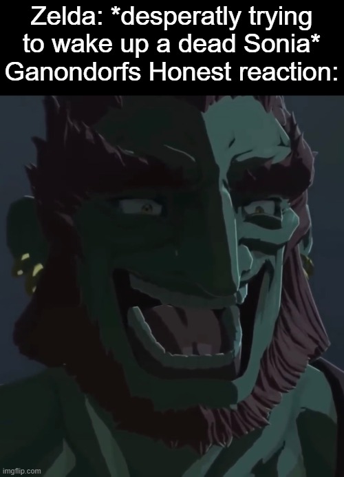 . | Zelda: *desperatly trying to wake up a dead Sonia*
Ganondorfs Honest reaction: | image tagged in ganondorf trollface | made w/ Imgflip meme maker