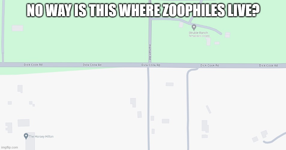 This is in Granite Bay BTW?(batim:I don't get it) | NO WAY IS THIS WHERE ZOOPHILES LIVE? | image tagged in street,outdated 21st century humor,stop reading the tags or else | made w/ Imgflip meme maker