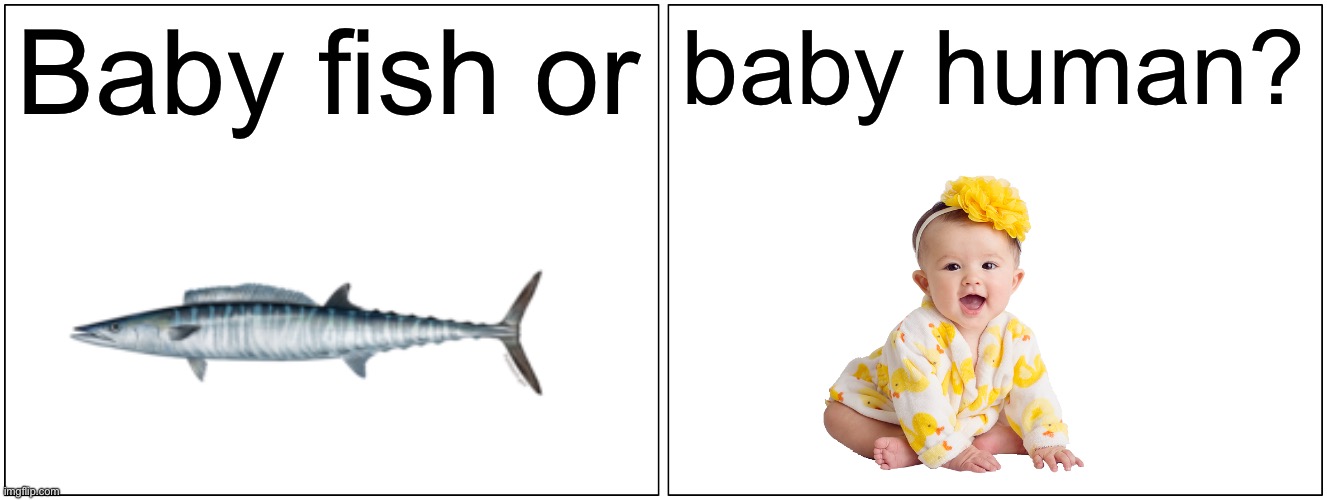 Blank Comic Panel 2x1 Meme | Baby fish or baby human? | image tagged in memes,blank comic panel 2x1 | made w/ Imgflip meme maker