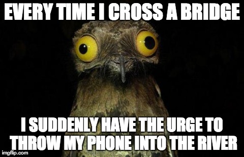 Weird Stuff I Do Potoo | EVERY TIME I CROSS A BRIDGE I SUDDENLY HAVE THE URGE TO THROW MY PHONE INTO THE RIVER | image tagged in memes,weird stuff i do potoo,AdviceAnimals | made w/ Imgflip meme maker