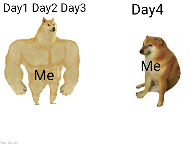 Buff Doge vs. Cheems | Day1 Day2 Day3; Day4; Me; Me | image tagged in memes,buff doge vs cheems | made w/ Imgflip meme maker