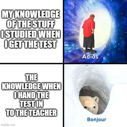 am i the only one this happens to | MY KNOWLEDGE OF THE STUFF I STUDIED WHEN I GET THE TEST; THE KNOWLEDGE WHEN I HAND THE TEST IN TO THE TEACHER | image tagged in adios bonjour,facts,please dont tell me im the only one | made w/ Imgflip meme maker
