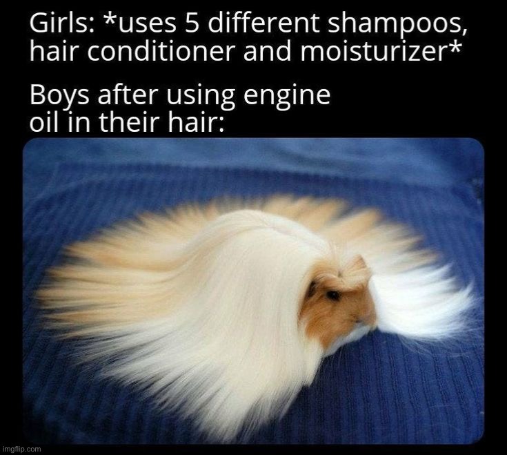 image tagged in memes,funny | made w/ Imgflip meme maker