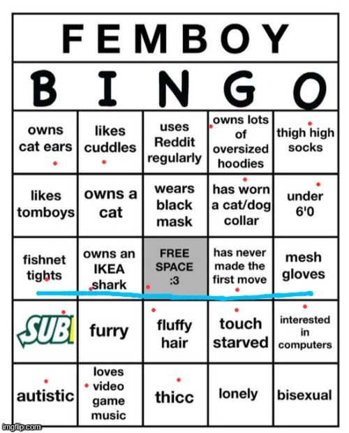 Femboy Bingo | image tagged in femboy bingo | made w/ Imgflip meme maker