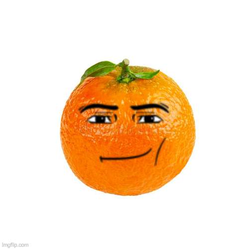 Orange | image tagged in orange | made w/ Imgflip meme maker