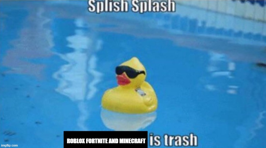 true | ROBLOX FORTNITE AND MINECRAFT | image tagged in splish splash | made w/ Imgflip meme maker