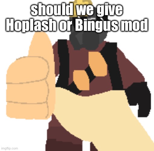 thumb | should we give Hoplash or Bingus mod | image tagged in thumb | made w/ Imgflip meme maker