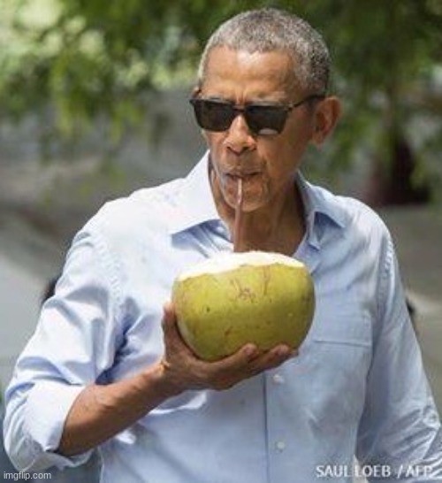 Obama Coconut | image tagged in obama coconut | made w/ Imgflip meme maker