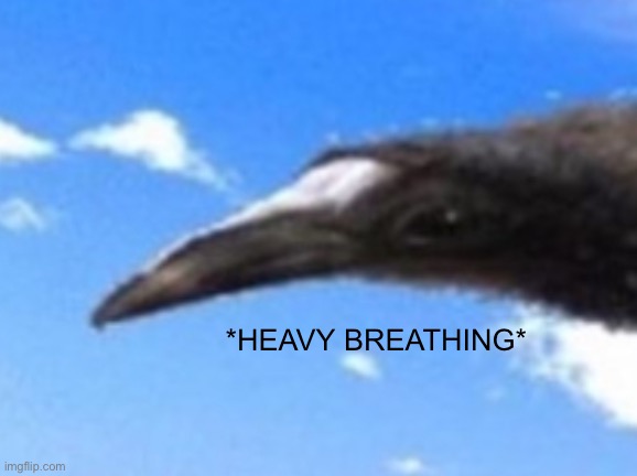 Heavy breathing bird Blank Meme Template