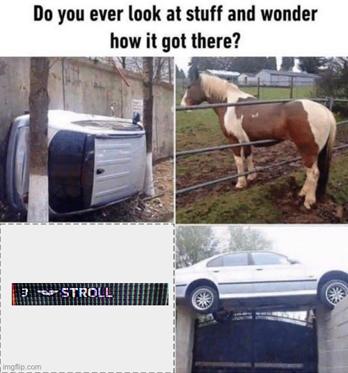 I wonder how daddy’s cash did that | image tagged in do you ever look at stuff and wonder how it got there | made w/ Imgflip meme maker