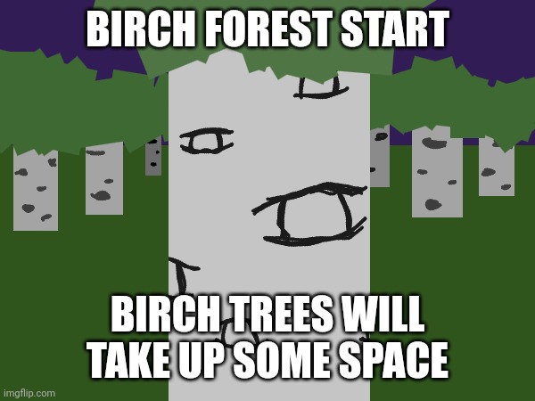BIRCH FOREST START; BIRCH TREES WILL TAKE UP SOME SPACE | image tagged in birch tree | made w/ Imgflip meme maker