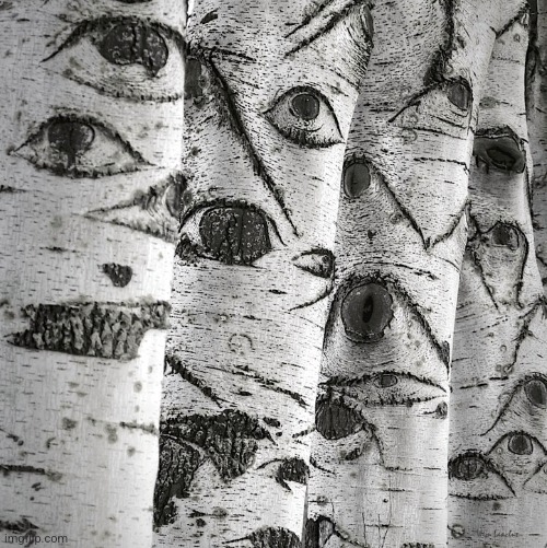 Yay I'm part of a stupid trend :D | image tagged in trees with eyes | made w/ Imgflip meme maker