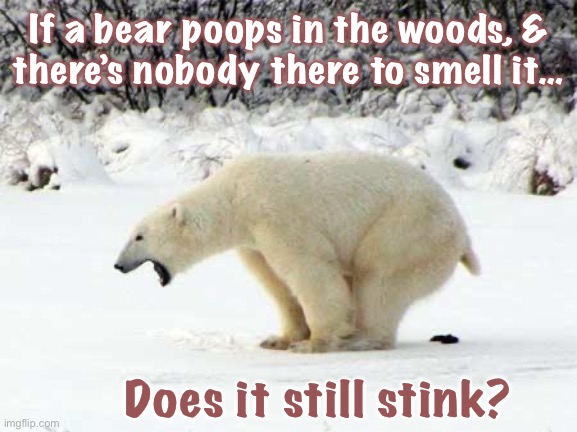 Barely | If a bear poops in the woods, &
there’s nobody there to smell it…; Does it still stink? | image tagged in polar bear shits in the snow | made w/ Imgflip meme maker