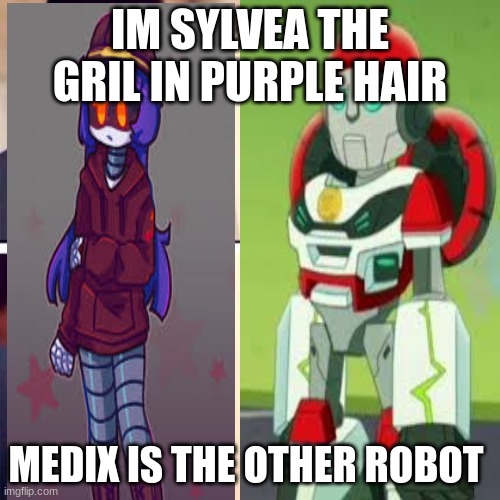 sylvea and medix | IM SYLVEA THE GRIL IN PURPLE HAIR; MEDIX IS THE OTHER ROBOT | image tagged in transformers | made w/ Imgflip meme maker