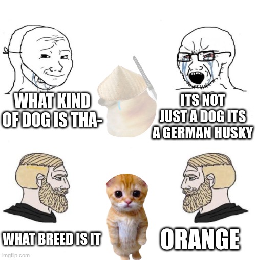 Chad we know | WHAT KIND OF DOG IS THA-; ITS NOT JUST A DOG ITS A GERMAN HUSKY; ORANGE; WHAT BREED IS IT | image tagged in chad we know | made w/ Imgflip meme maker