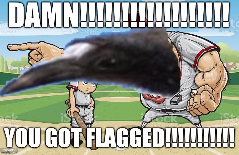 Chrono bird coach damn you got flagged | image tagged in chrono bird coach damn you got flagged | made w/ Imgflip meme maker