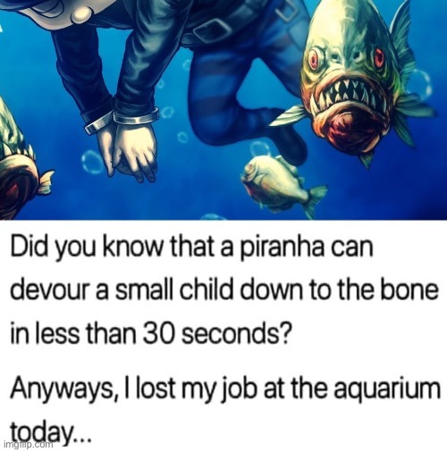 image tagged in memes,funny,dark humor | made w/ Imgflip meme maker